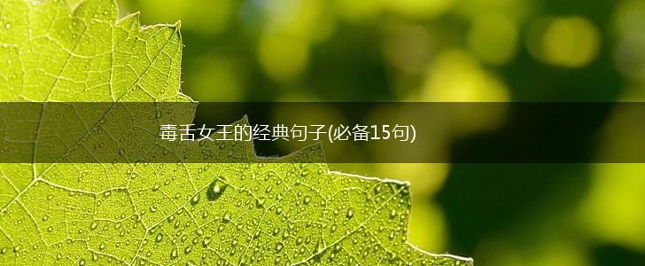 毒舌女王的经典句子(必备15句),第1张