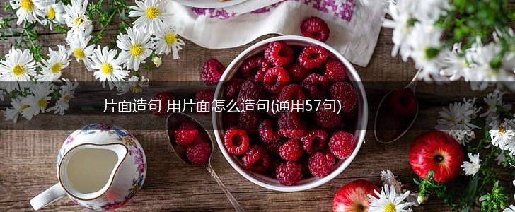 片面造句 用片面怎么造句(通用57句),第1张