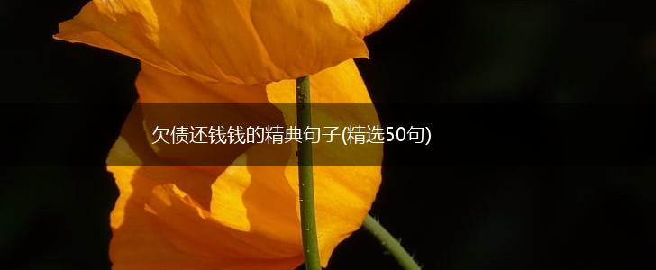 欠债还钱钱的精典句子(精选50句),第1张