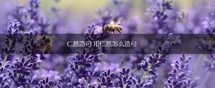 仁慈造句 用仁慈怎么造句,第1张