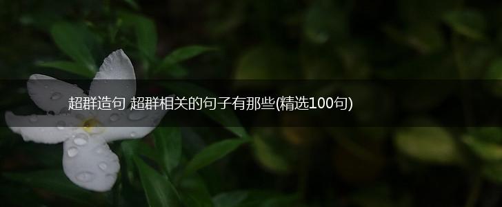 超群造句 超群相关的句子有那些(精选100句),第1张