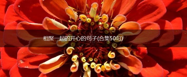 相聚一起的开心的句子(合集50句),第1张