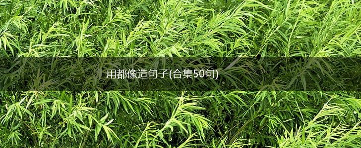 用都像造句子(合集50句),第1张
