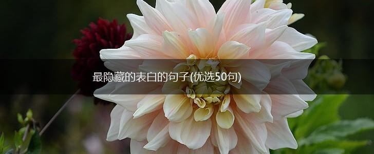 最隐藏的表白的句子(优选50句),第1张