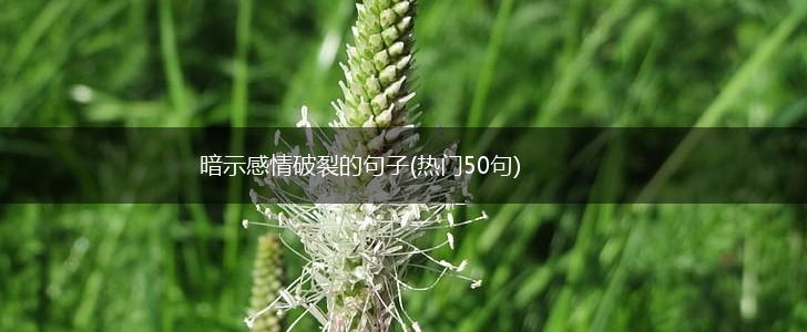 暗示感情破裂的句子(热门50句),第1张