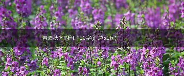 春夏秋冬的句子10字(汇总51句),第1张