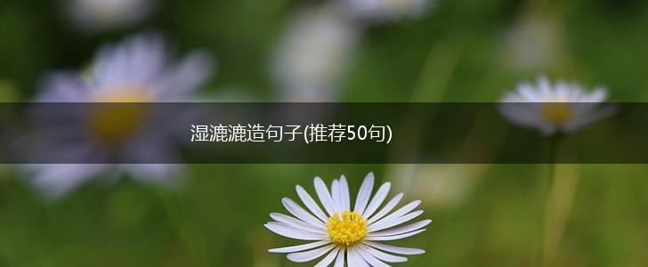 湿漉漉造句子(推荐50句),第1张