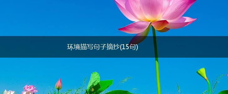 环境描写句子摘抄(15句),第1张