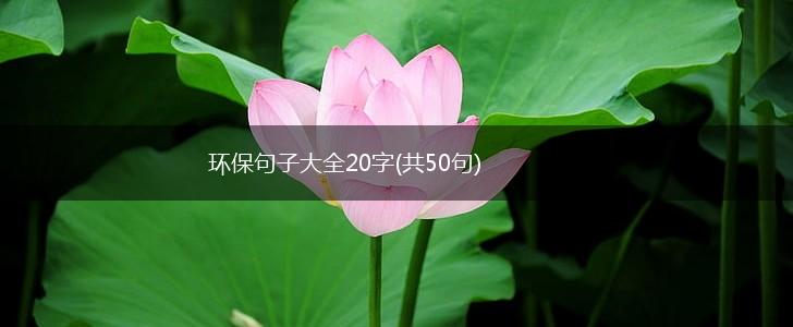 环保句子大全20字(共50句),第1张