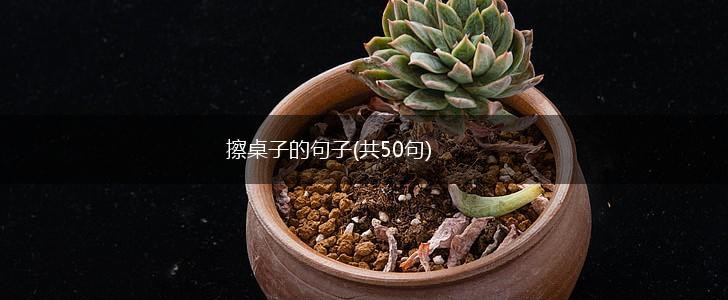 擦桌子的句子(共50句),第1张