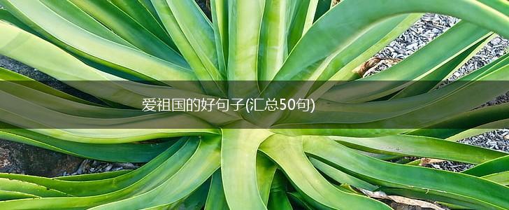 爱祖国的好句子(汇总50句),第1张