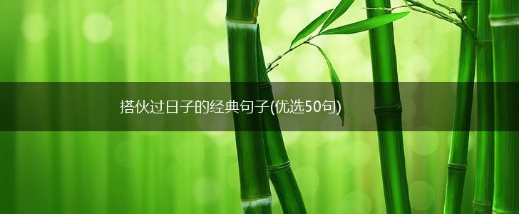 搭伙过日子的经典句子(优选50句),第1张