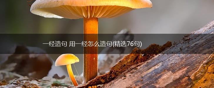 一经造句 用一经怎么造句(精选76句),第1张