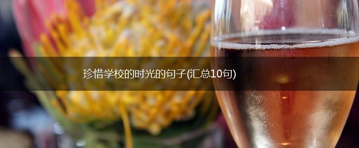 珍惜学校的时光的句子(汇总10句),第1张