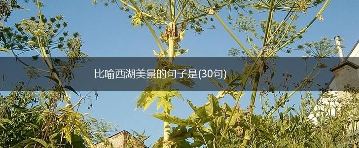 比喻西湖美景的句子是(30句),第1张