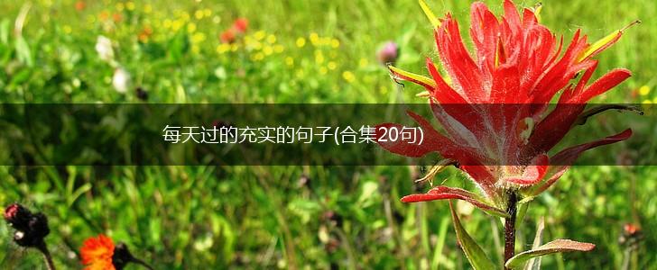 每天过的充实的句子(合集20句),第1张