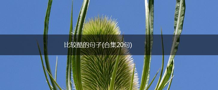 比较酷的句子(合集20句),第1张