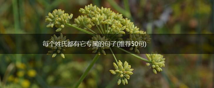 每个姓氏都有它专属的句子(推荐50句),第1张