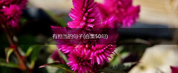 有担当的句子(合集50句),第1张