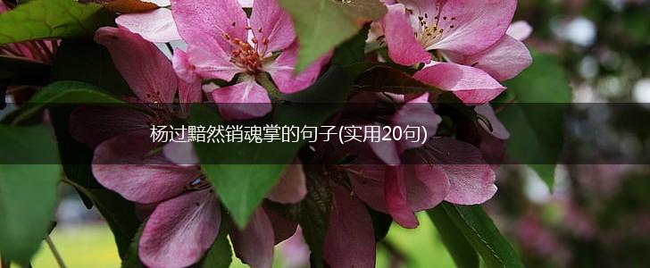 杨过黯然销魂掌的句子(实用20句),第1张