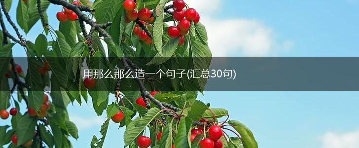 用那么那么造一个句子(汇总30句),第1张