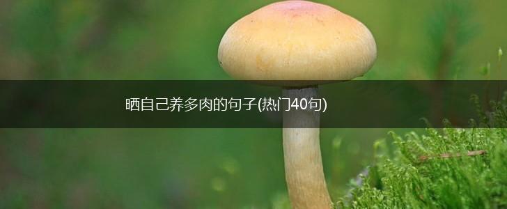 晒自己养多肉的句子(热门40句),第1张