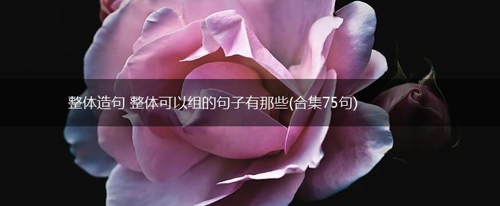 整体造句 整体可以组的句子有那些(合集75句),第1张