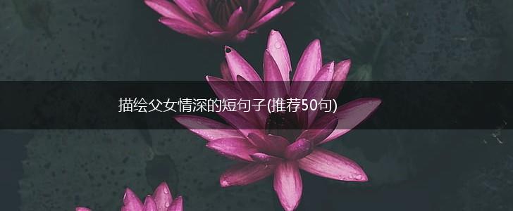 描绘父女情深的短句子(推荐50句),第1张