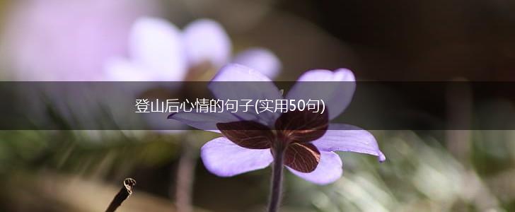登山后心情的句子(实用50句),第1张