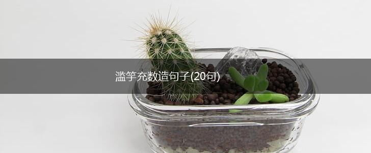 滥竽充数造句子(20句),第1张