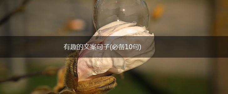 有趣的文案句子(必备10句),第1张