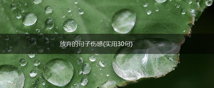 放弃的句子伤感(实用30句),第1张