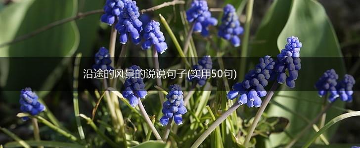 沿途的风景的说说句子(实用50句),第1张