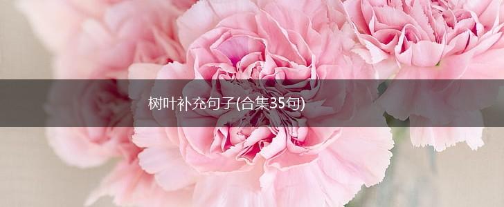 树叶补充句子(合集35句),第1张