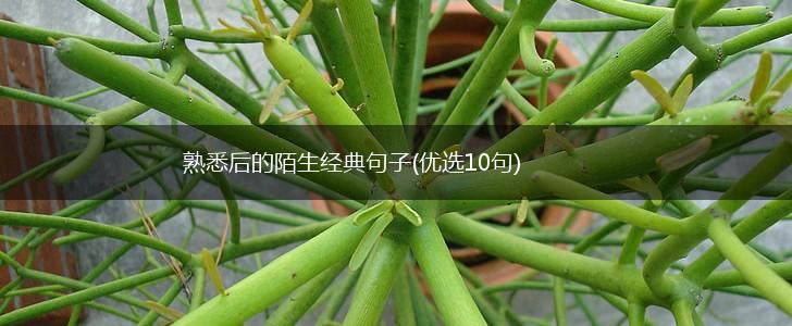 熟悉后的陌生经典句子(优选10句),第1张