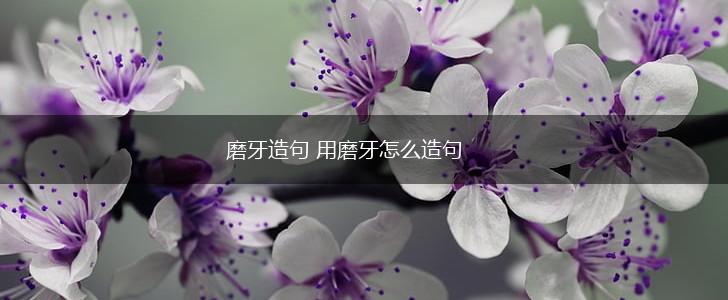 磨牙造句 用磨牙怎么造句,第1张
