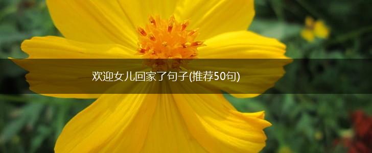 欢迎女儿回家了句子(推荐50句),第1张