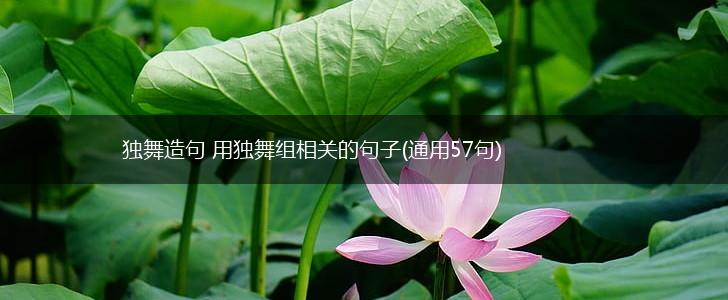 独舞造句 用独舞组相关的句子(通用57句),第1张