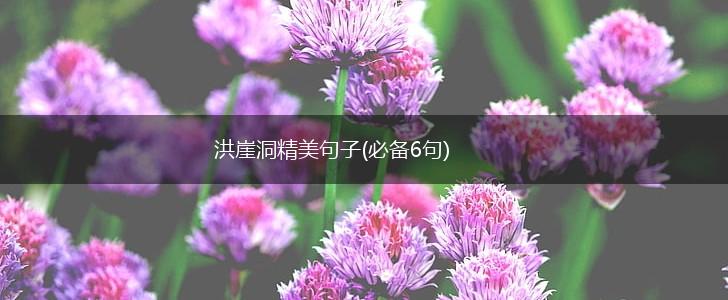 洪崖洞精美句子(必备6句),第1张