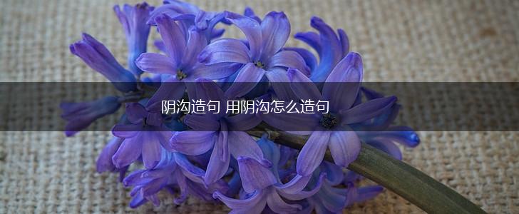 阴沟造句 用阴沟怎么造句,第1张