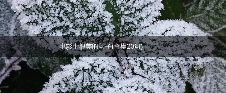 电影中很美的句子(合集20句),第1张