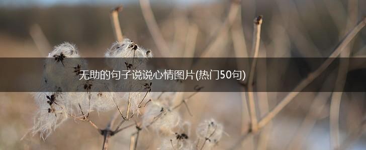 无助的句子说说心情图片(热门50句),第1张