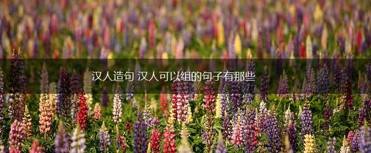 汉人造句 汉人可以组的句子有那些,第1张