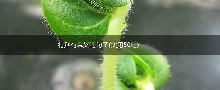 特别有意义的句子(实用50句),第1张