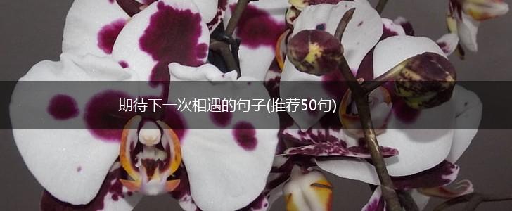 期待下一次相遇的句子(推荐50句),第1张