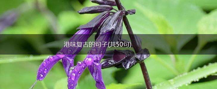 港味复古的句子(共50句),第1张
