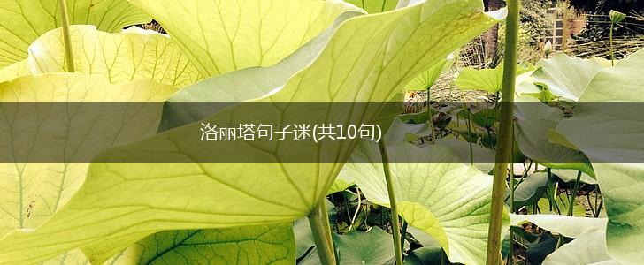 洛丽塔句子迷(共10句),第1张