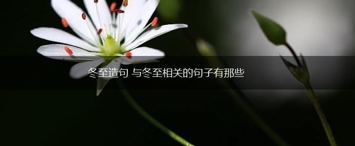 冬至造句 与冬至相关的句子有那些,第1张