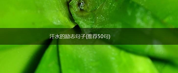 汗水的励志句子(推荐50句),第1张