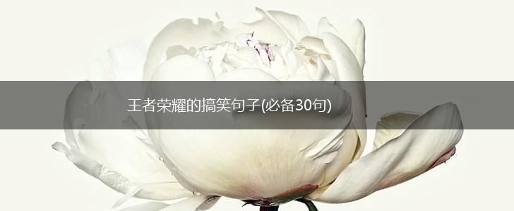 王者荣耀的搞笑句子(必备30句),第1张